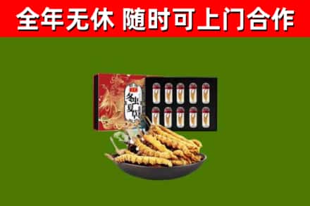 汤旺县回收冬虫夏草价格