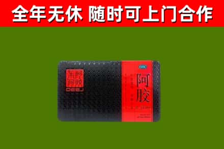 汤旺县回收阿胶
